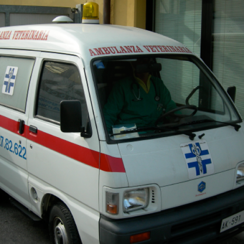 ambulanza-cf5134c4e2