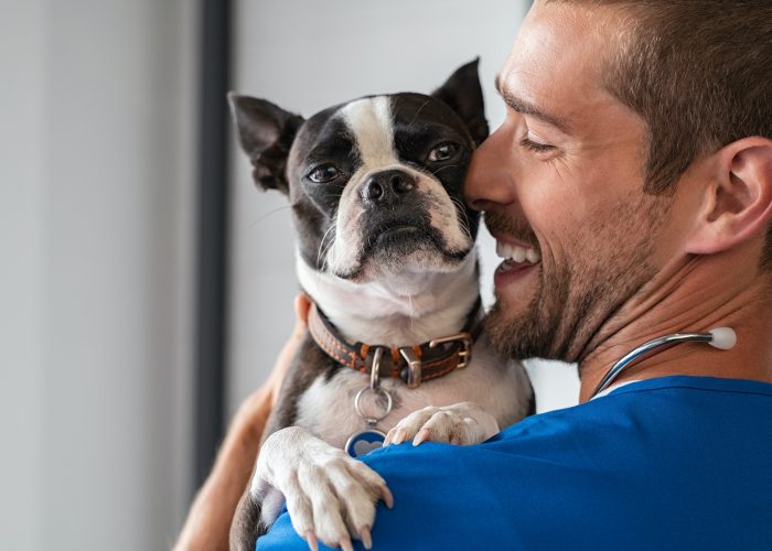 vet-cuddling-pet-dog.jpg